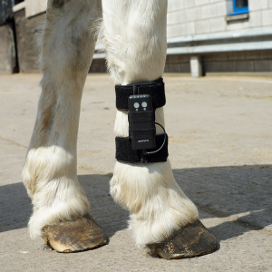 ArcEquine_In_Use2 ArcEquine_In_Use2